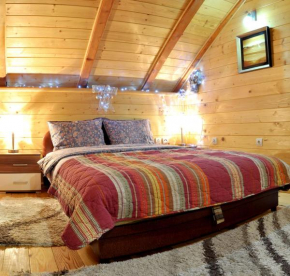 Vila Zora u borovima Zlatibor